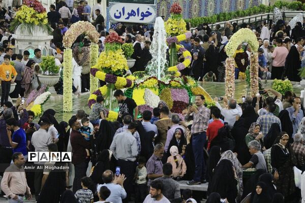 ولادت حضرت رضا (ع) در مشهد مقدس