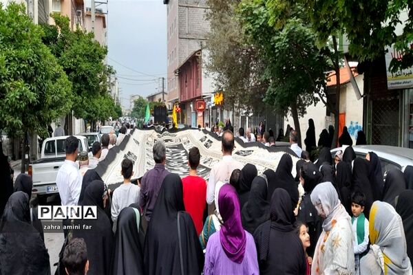 جشن میلاد علی ابن موسی الرضا در نور