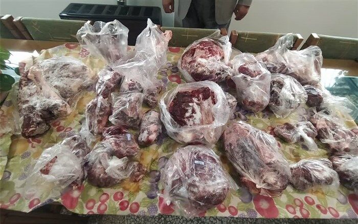 ۳۰ کیلوگرم گوشت شکار غیر مجاز در بابل کشف شد