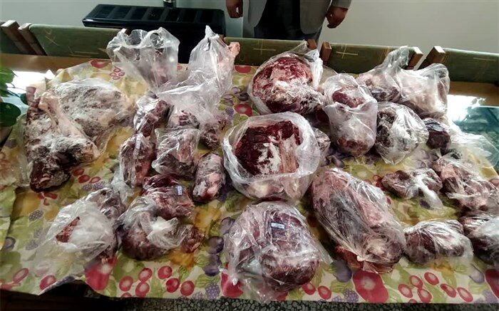 ۳۰ کیلوگرم گوشت شکار غیر مجاز در بابل کشف شد