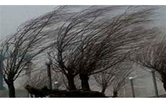 افزایش 6 برابری خسارت زمستان در خراسان جنوبی