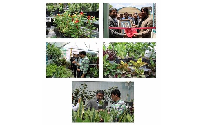 افتتاح گلخانه هنرستان استثنایی کوشش شهرکرد