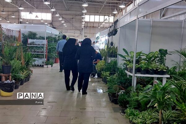 نمایشگاه گل و گیاه در تبریز