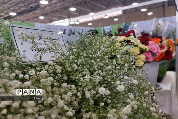 نمایشگاه گل و گیاه در تبریز