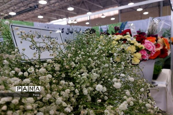 نمایشگاه گل و گیاه در تبریز