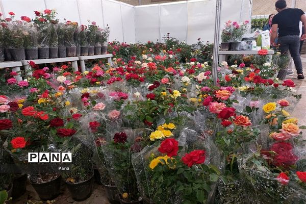 نمایشگاه گل و گیاه در تبریز