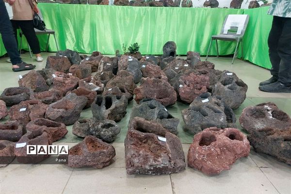 نمایشگاه گل و گیاه در تبریز