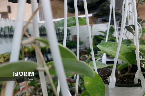 نمایشگاه گل و گیاه در تبریز