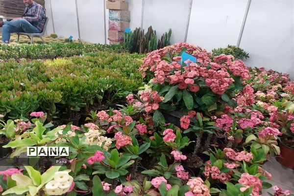 نمایشگاه گل و گیاه در تبریز