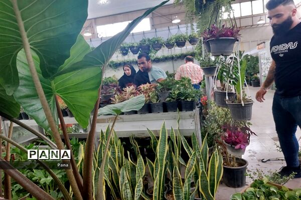 نمایشگاه گل و گیاه در تبریز