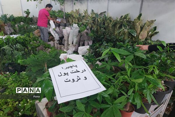 نمایشگاه گل و گیاه در تبریز
