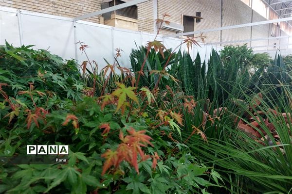 نمایشگاه گل و گیاه در تبریز