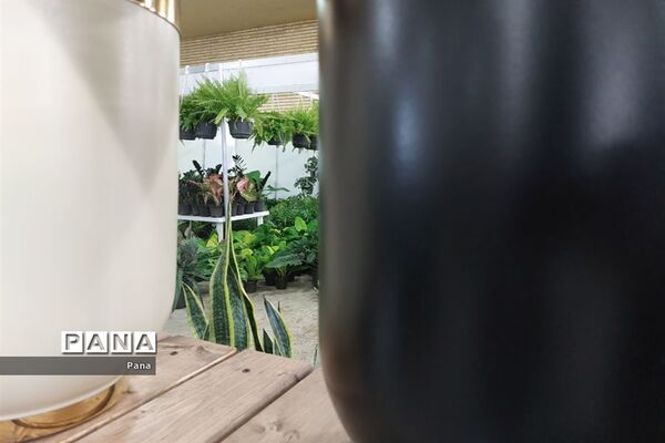نمایشگاه گل و گیاه در تبریز