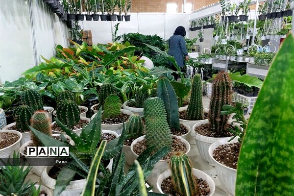 نمایشگاه گل و گیاه در تبریز