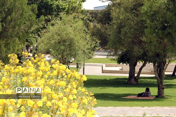 گل و گیاه در طبیعت زیبای ارومیه