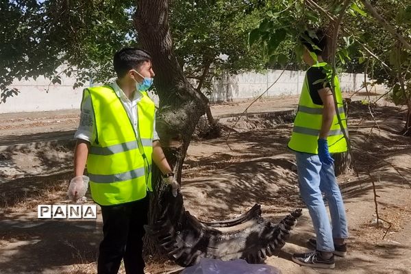 دانش‌آموزان دوستدار محیط‌زیست به کمک پاکبانان برای پاکسازی محیط زیست رفتند
