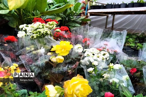 احداث اولین گلخانه روستای باقرآباد قم در روز ملی گل و گیاه