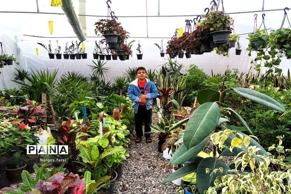 احداث اولین گلخانه روستای باقرآباد قم در روز ملی گل و گیاه