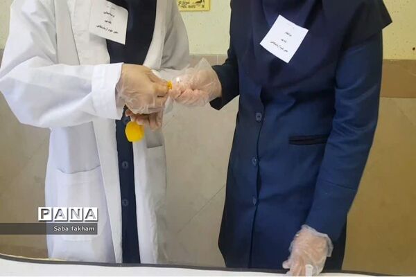 مسابقه محور علوم آزمایشگاهی در پژوهش‌سرای احمدی روشن ناحیه یک بهارستان