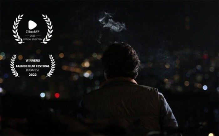 جایزه بهترین کارگردانی فیلم جشنواره مجارستانی به «voice» رسید