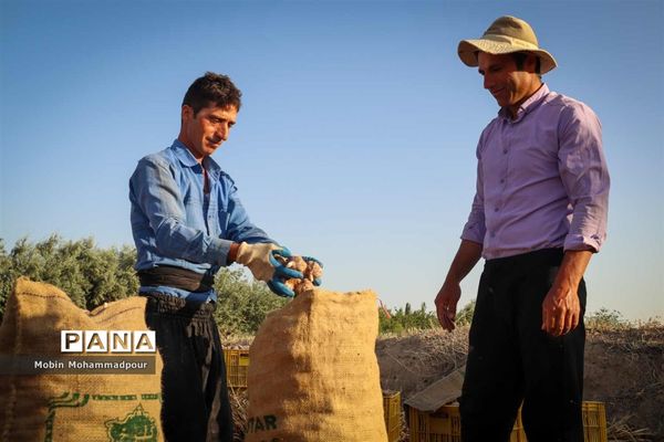 تیمورلو، پایتخت سیر ایران