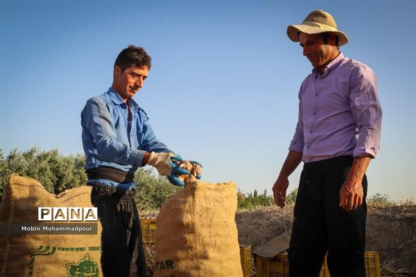 تیمورلو، پایتخت سیر ایران