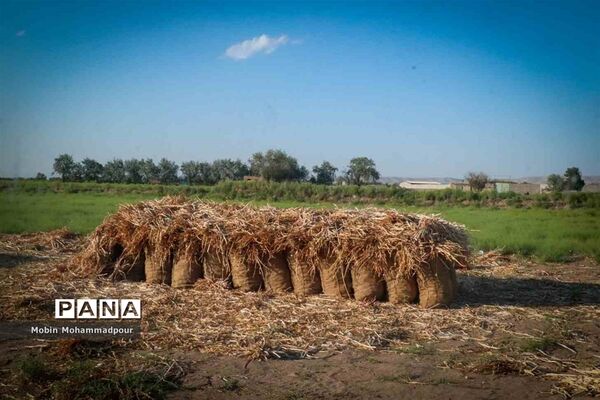 تیمورلو، پایتخت سیر ایران