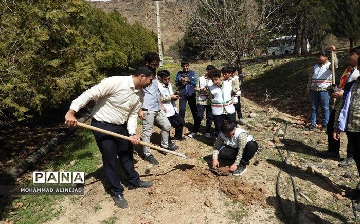 درختکاری یک بسته کامل تربیتی برای دانش‌آموزان است