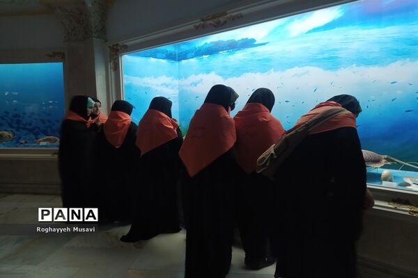 چهارمین اردوی زیارت اولی‌های قم