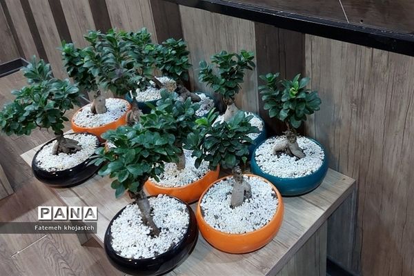 مراسم تجلیل از پیشگامان دانش و تربیت مدارس غیردولتی شهرستان قرچک