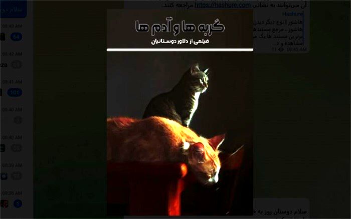 تازه‌ترین مستند دلاور دوستانیان به شبکه نمایش خانگی رسید
