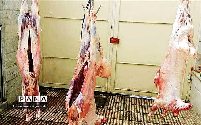 آمادگی کمیته امداد فارس به منظور جمع‌آوری و توزیع نذورات قربانی