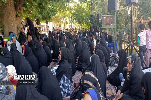 قرائت دعای عرفه در جوار حرم امامزاده سلطان نورالدین اردکان