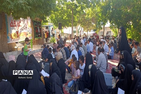 قرائت دعای عرفه در جوار حرم امامزاده سلطان نورالدین اردکان