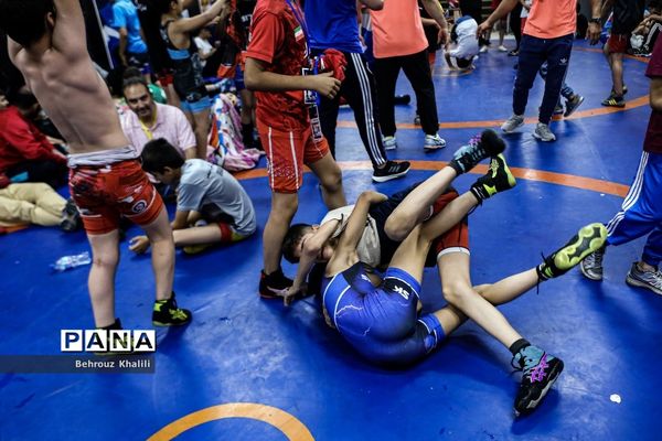 اولین جشنواره کشتی آزاد خردسالان جام پهلوانک‌ها