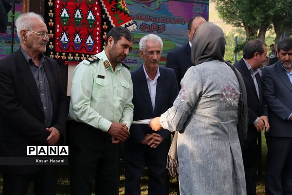 برداشت رز دمشقی در روستای عنصرود تبریز