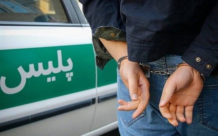 دستگیری ۹۰ هنجارشکن از آغاز طرح سالم سازی بوستان‌ها در قم