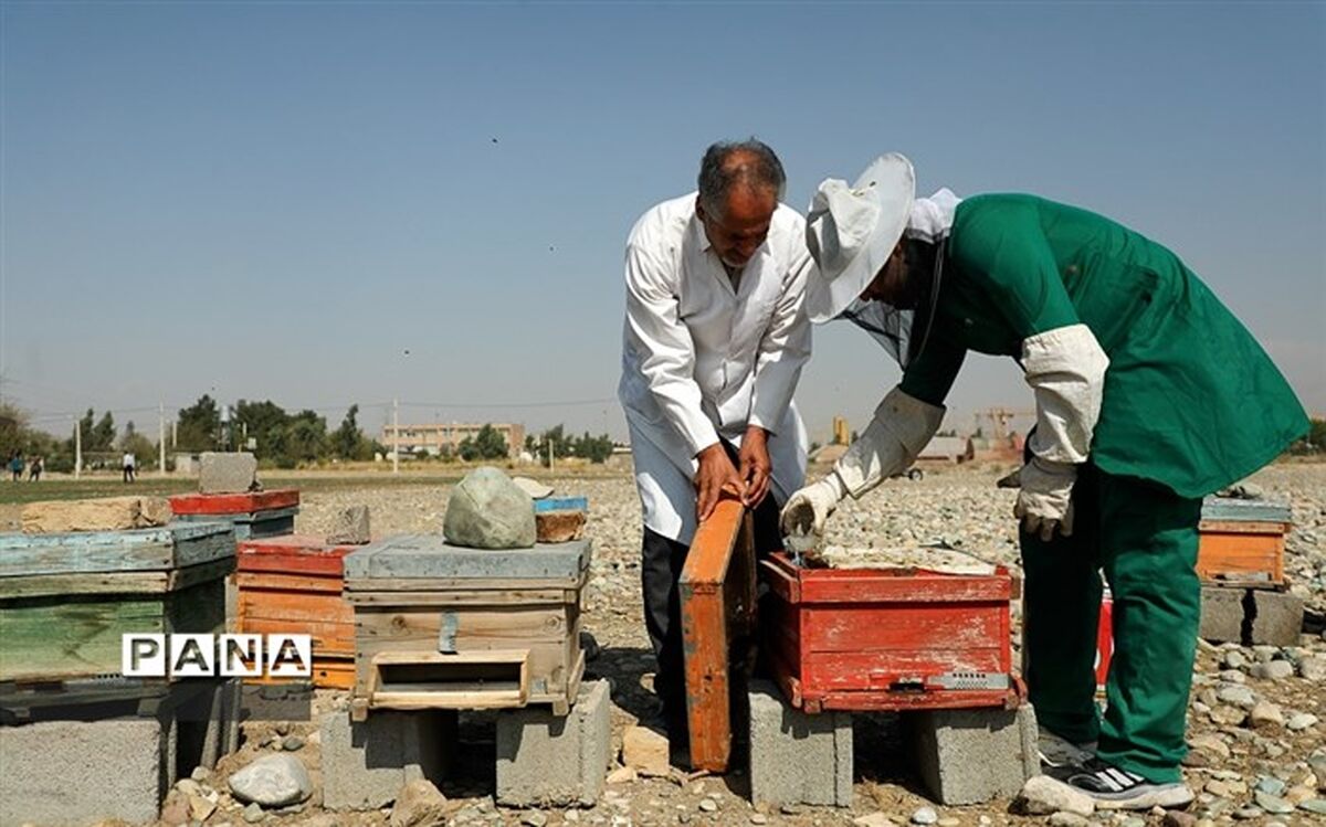 اثرگذاری رشته‌های هنرستانی در بازار کار در گرو بومی‌شدن است