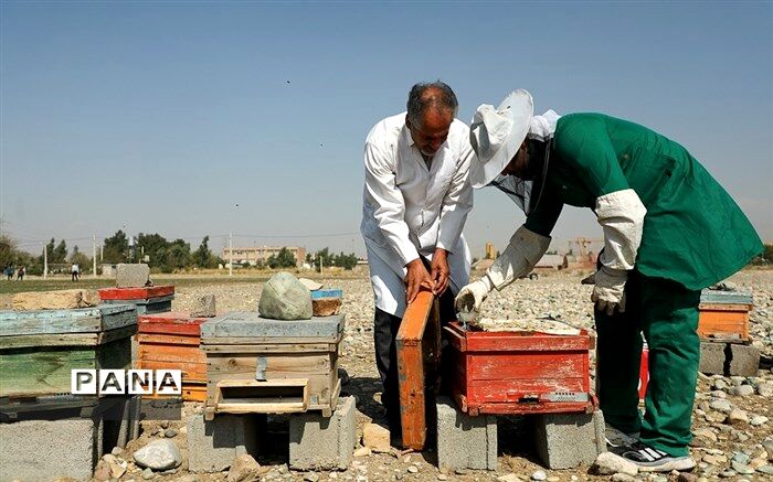 اثرگذاری رشته‌های هنرستانی در بازار کار در گرو بومی‌شدن است