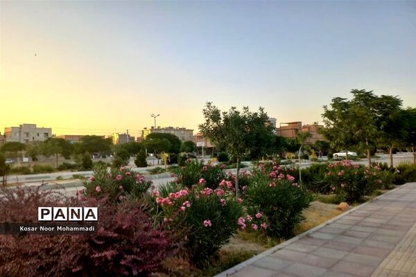 پارک شش و نیم هکتاری شهید سلیمانی  اسلامشهر نماد زیبای پوشش‌های گیاهی متنوع