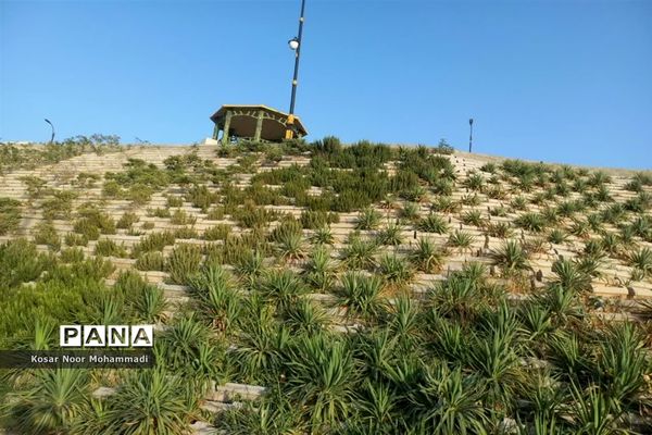 پارک شش و نیم هکتاری شهید سلیمانی  اسلامشهر نماد زیبای پوشش‌های گیاهی متنوع