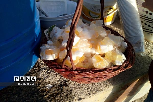 برگزاری دعای ندبه در گلزار شهدای شهرستان بن