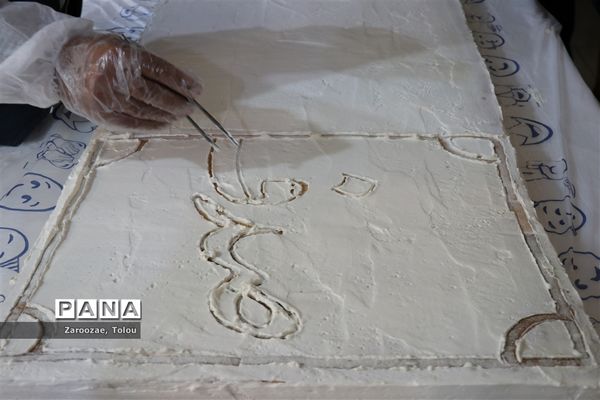 افتتاحیه طرح استانی و حمایتی صدف صیانت از دختران فرزانه