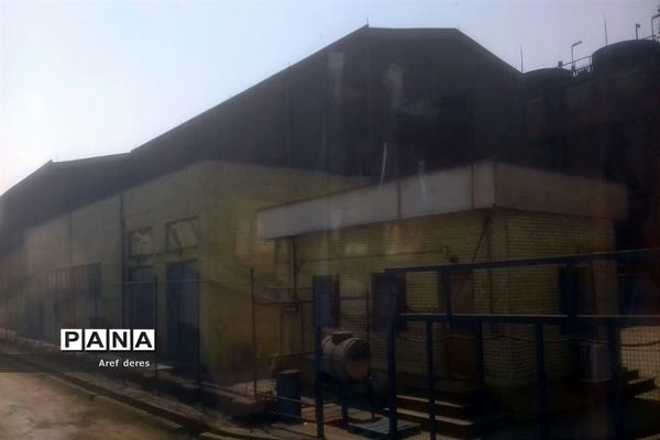 برگزاری اردوی راهیان پیشرفت ویژه دانش‌آموزان شادگانی