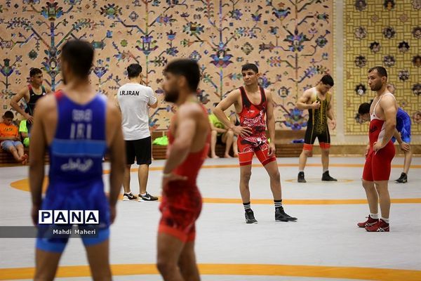 تمرین تیم ملی کشتی فرنگی نوجوانان و بزرگسالان