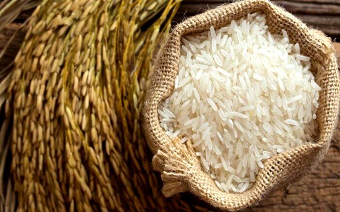 ممنوعیت واردات برنج بازار را برای محتکران باز می‌کند؟