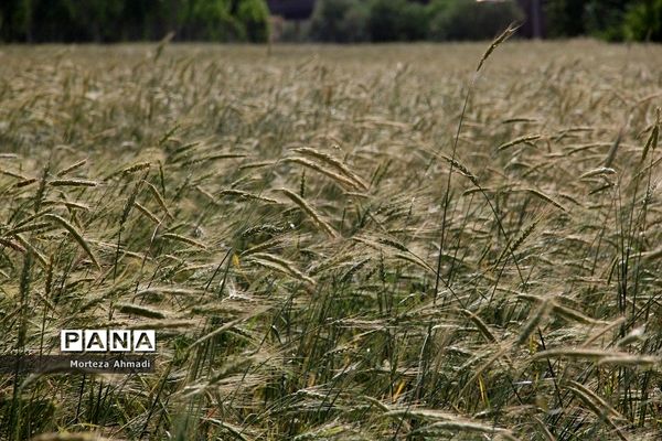 روستای ممش‌خان در شهرستان خوی استان آذربایجان غربی
