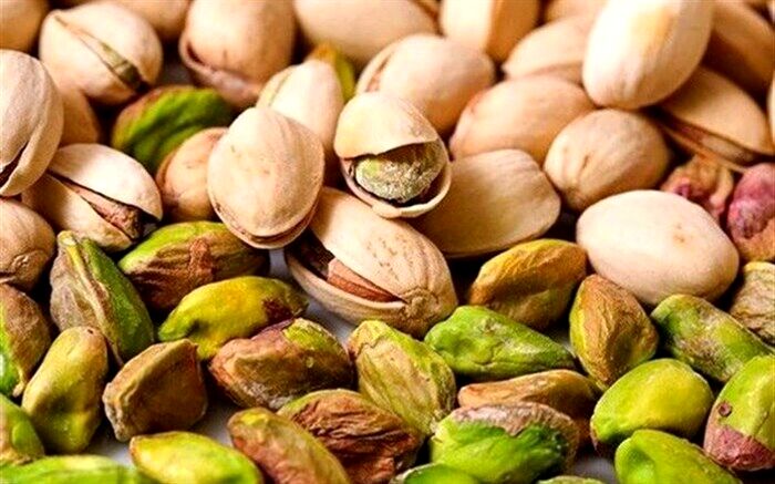 تولید بیش از 240 هزار تُن پسته در سال جاری