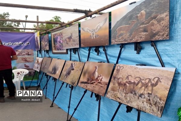 برگزاری نمایشگاه در شهرستان بن به‌مناسبت نکوداشت روز بن