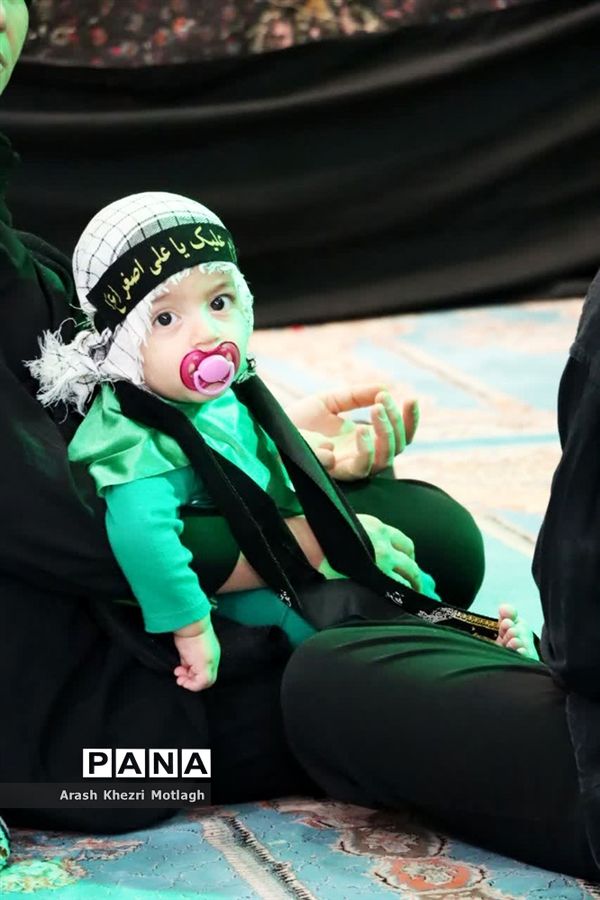 شیرخوارگان حسینی در کازرون